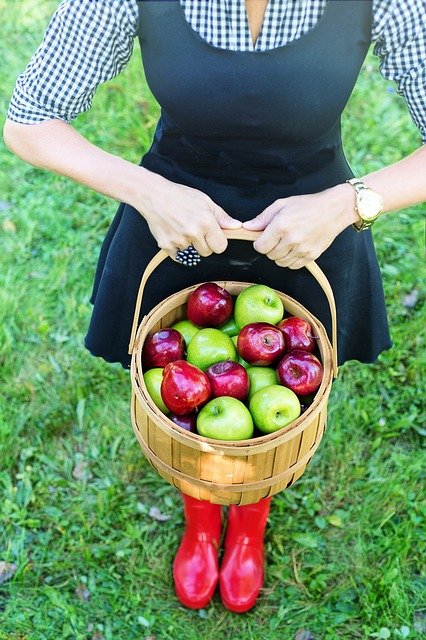 Gedichte zu basket-of-apples-3661797_640.jpg