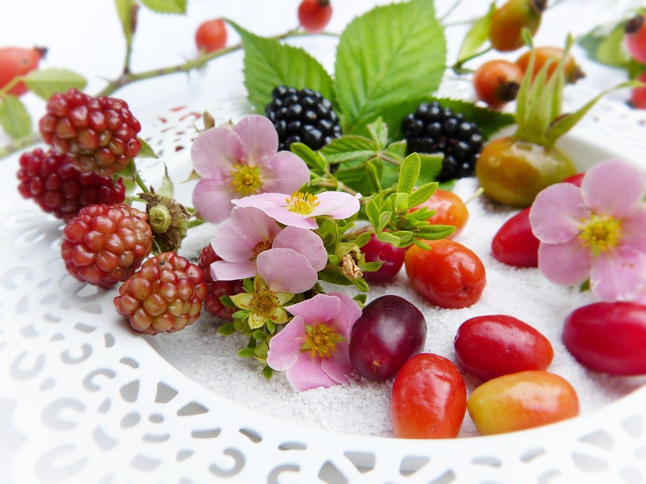 Bild: berries-2665250_1280 (Quelle: pixabay.com)