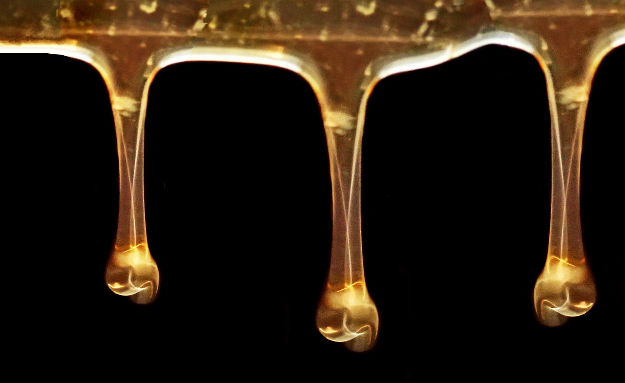 Bild: honey-4921212_1280 (Quelle: pixabay.com)
