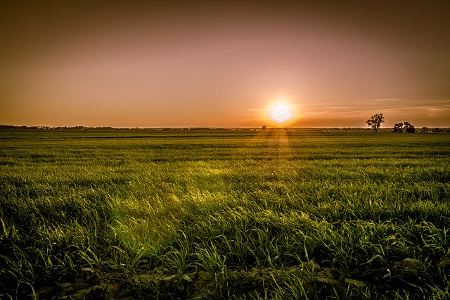 Bild: sunset-over-the-fields-3815752_640 (Quelle: pixabay.com)