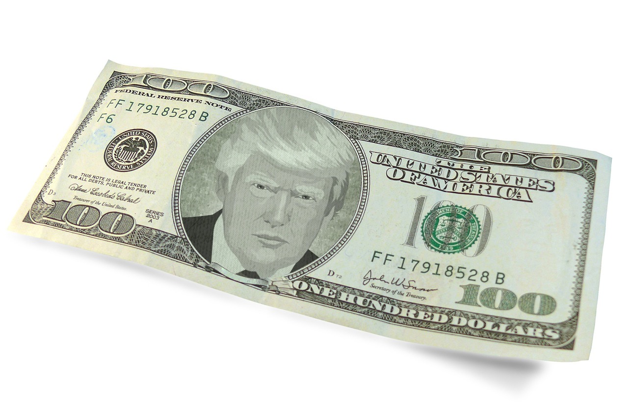 Bild: trump-2387091_1280 (Quelle: pixabay.com)