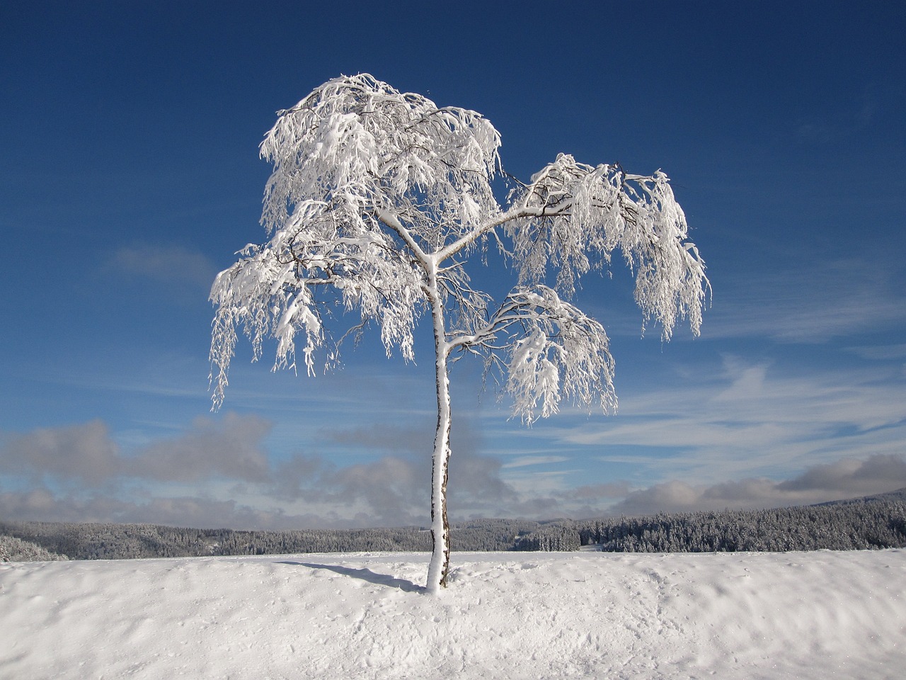 Bild: winter-1675197_1280 (Quelle: pixabay.com)