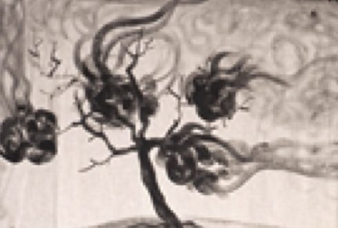 Bild: Dornbusch_04 (Quelle: pixabay.com)