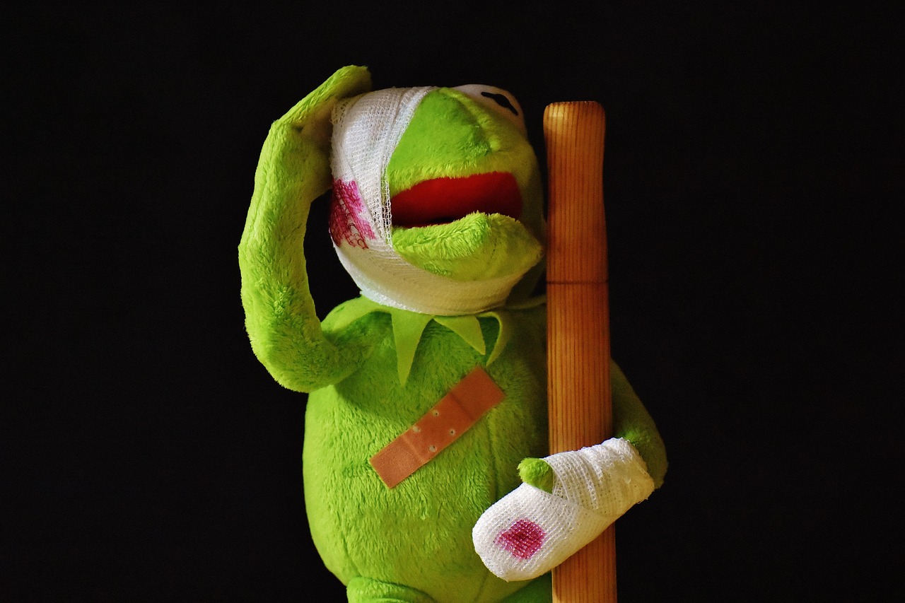 Bild: alexas_fotos-kermit-2001219_1280 (Quelle: pixabay.com)