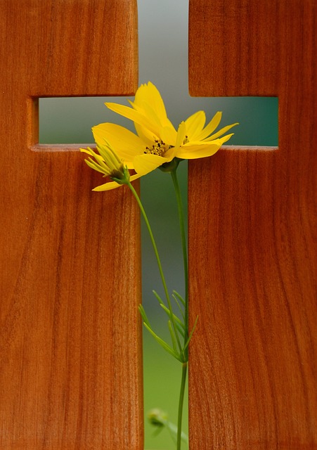 Gedichte zu cross-1517093_640.jpg