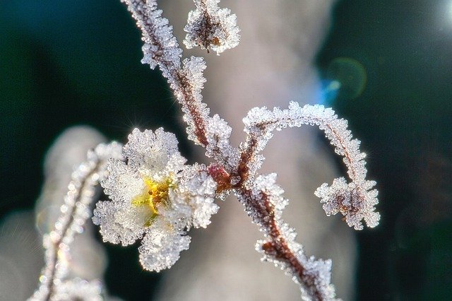Bild: ice-crystals-4814900_640 (Quelle: pixabay.com)