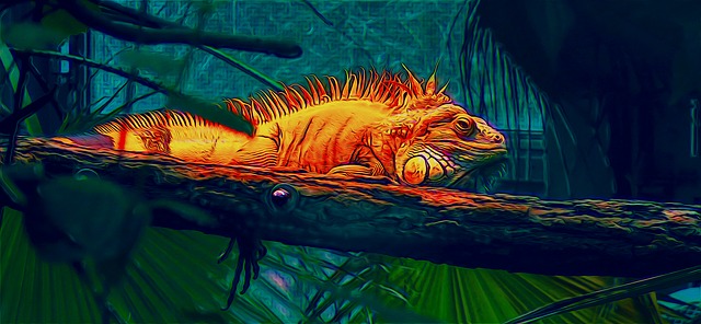 Bild: iguana-1509929_640 (Quelle: pixabay.com)