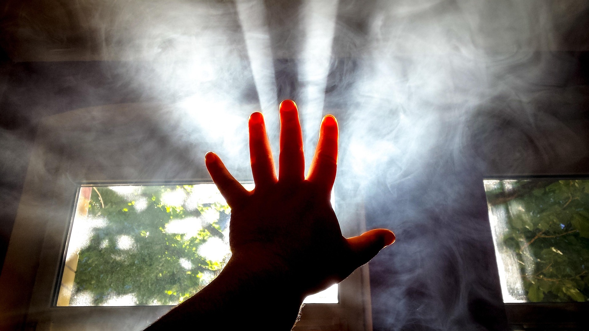 Bild: kampfmonchichi-hand-6031260_1920 (Quelle: pixabay.com)