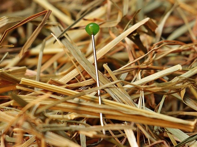 Bild: needle-in-a-haystack-1752846_640-1 (Quelle: pixabay.com)
