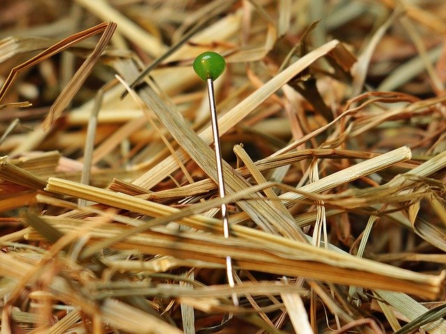 Bild: needle-in-a-haystack-1752846_640 (Quelle: pixabay.com)