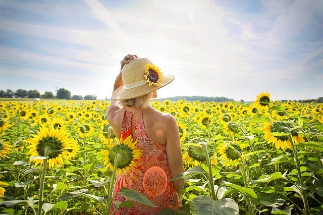 Bild: sunflowers-3640935_640 (Quelle: pixabay.com)