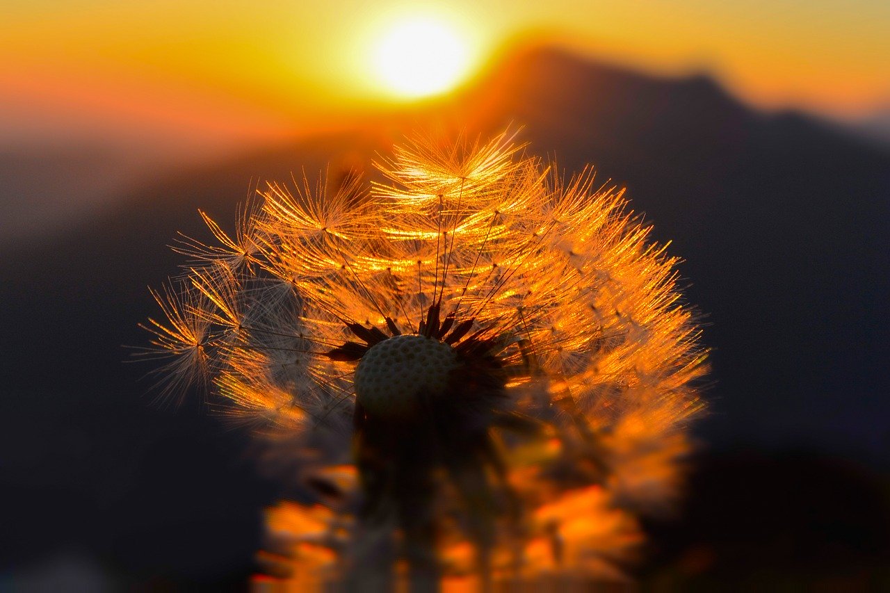 Bild: sunrise-1483431_1280 (Quelle: pixabay.com)