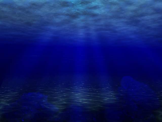 Bild: unterwassermeer01 (Quelle: pixabay.com)